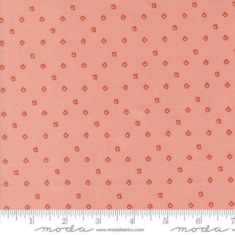 Blossom Dot Imaginary Flowers