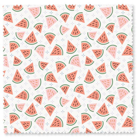 Watermelon Chill Summer Delights