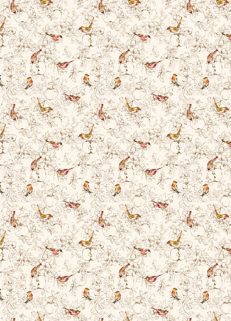 Birds on Cream