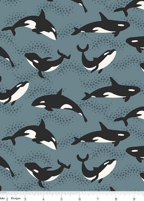 Alaska Orca Whales Blue